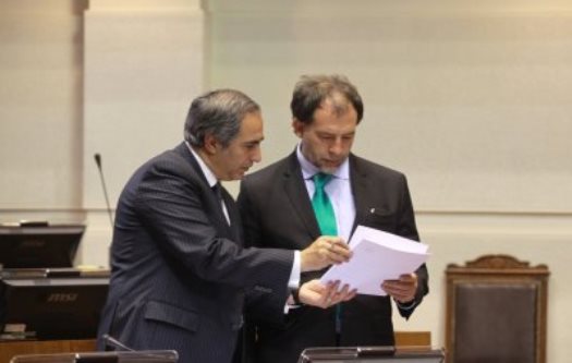 A Sala proyecto sobre tenencia responsable de mascotas