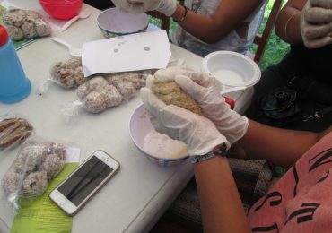 Decena de niños y jóvenes disfrutaron de taller de “comida saludable” en Pudahuel