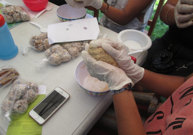Decena de niños y jóvenes disfrutaron de taller de “comida saludable” en Pudahuel