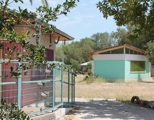 Vecinos preocupados: Terreno destinado a Jardín infantil es blanco de robos asaltos en Pudahuel