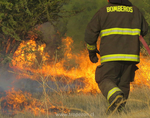 Dir. Sexta Compañía de Bomberos: Sería negativo recibir un sueldo, pero necesitamos ayuda económica