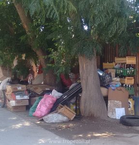 Vecinos molestos por problemas de higiene 