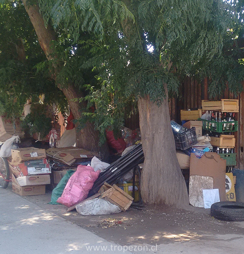 Vecinos denuncian que pudahuelino de la tercera edad con “mal de diógenes” llena vereda de pasaje con basura