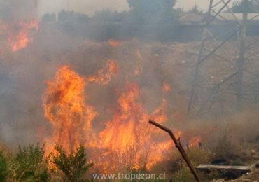 Humo de incendio de pastizales afectó sector en Pudahuel
