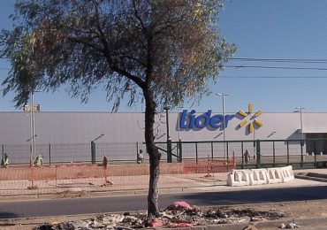 Árboles frente a supermercado de Pudahuel resultaron quemados por desconocidos