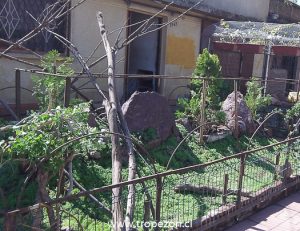 Jardín verde en donde solo hay tierra y cemento 