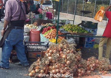 Este miércoles 19 de abril no habrá venta de frutas y verduras en ferias libres de Pudahuel