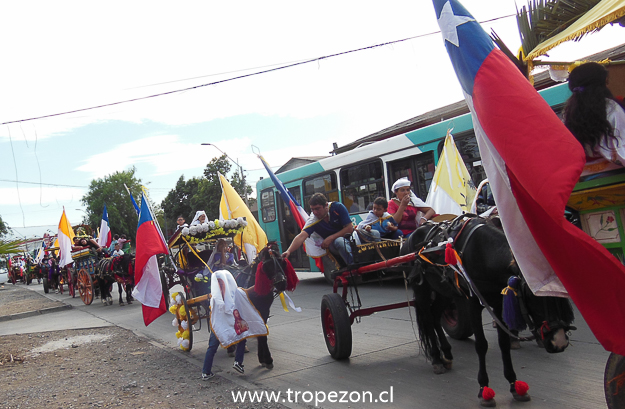 Cuasimodistas de Cerro Navia 