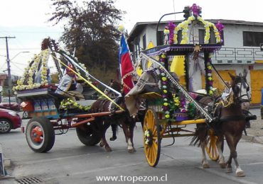 Cuasimodistas recorren calles de Cerro Navia acompañando al sacerdote