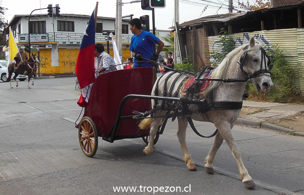 Carro romano 
