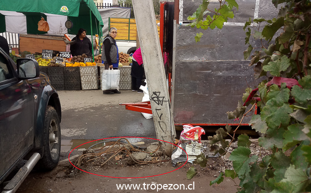 Poste del tendido eléctrico en peligro de caer en Cerro Navia