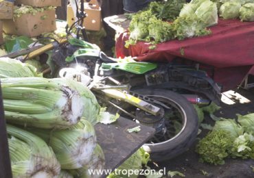Moto termina incrustada en local de feria libre en Pudahuel