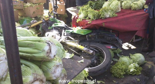 Moto termina incrustada en local de feria libre en Pudahuel
