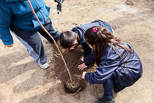 Alumnos de escuela municipal realizan jornada ecológica en el Día Mundial del Medio Ambiente