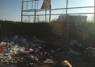 Vecinos denuncian plaga de ratones y goteras a un mes de recibir sus casas en Pudahuel