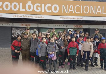 55 Comisaría Pudahuel sur realiza visita a Zoológico Metropolitano junto a decena de niños