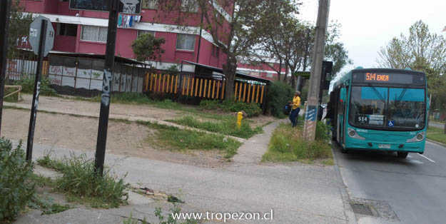 Ola de robos a casas en avenida General Bonilla tiene con temor a vecinos en Pudahuel