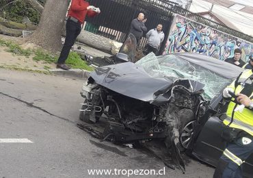 Árbol termina en el suelo tras ser chocado por un automóvil