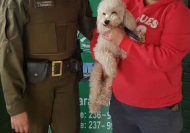 Gran acción: Carabineros de la subcomisaría Pudahuel Norte dan con paradero de perro perdido