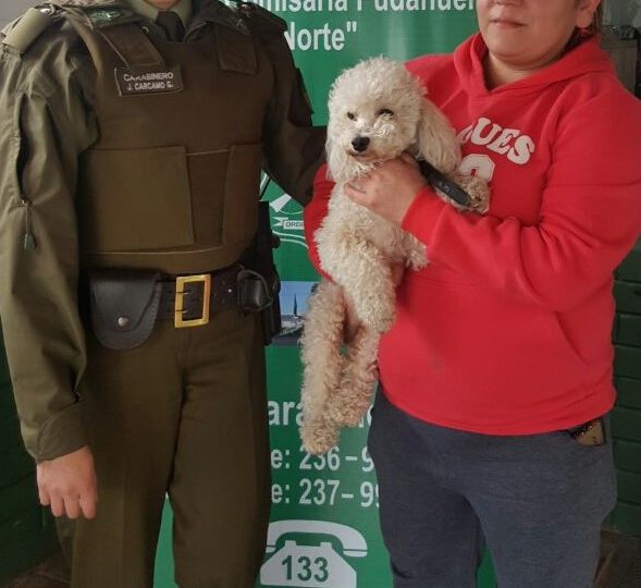 Gran acción: Carabineros de la subcomisaría Pudahuel Norte dan con paradero de perro perdido