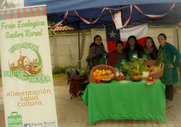 Feria modelo ecológica estaría a pocas semanas de su inauguración en Pudahuel Rural