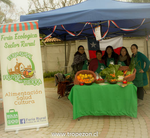 Feria modelo ecológica estaría  a pocas semanas de su inauguración en Pudahuel Rural