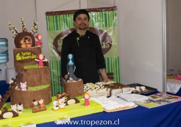 Con baja asistencia se desarrolló la Feria Expo Microempresa y Negocios en Pudahuel