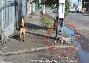 Choque cortó poste del tendido eléctrico en Pudahuel