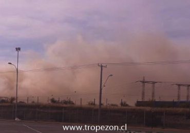 Incendio forestal causa alarma en Pudahuel rural