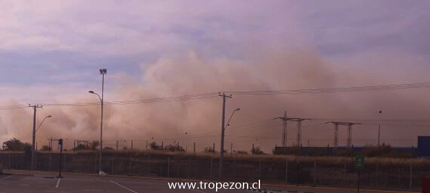 Incendio forestal causa alarma en Pudahuel rural