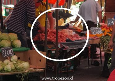 Denuncian venta de carne en feria libre con pérdida total de cadena de frío en Pudahuel