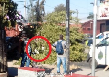 Árbol cae sobre automóvil en movimiento en Pudahuel