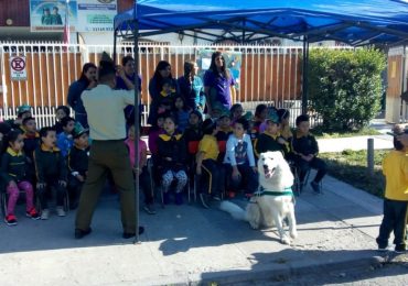 Estudiantes de Pudahuel disfrutan exhibición de Escuela de Adiestramiento Canino de Carabineros