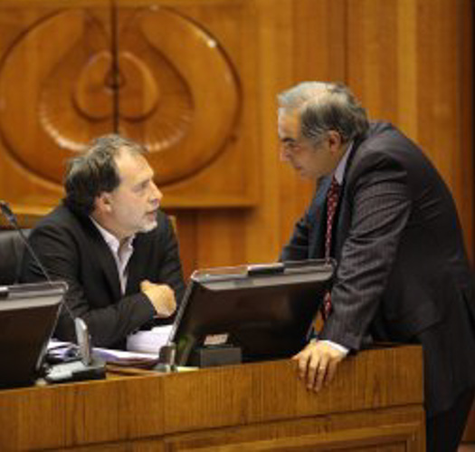 Senadores solicitan que se corrija reglamento de la Ley Cholito con el fin de que se pueda cumplir la normativa