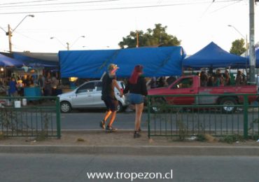 Roban tramo de reja de seguridad vial en Pudahuel