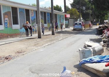 A pocos metros de jardín infantil dejan animales muertos en descomposición y basura domiciliaria en Pudahuel