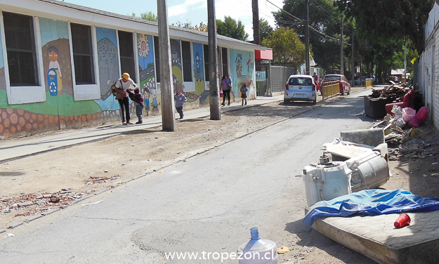 A pocos metros de jardín infantil dejan animales muertos en descomposición y basura domiciliaria en Pudahuel