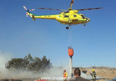 Incendio forestal afectó a la laguna Caren y al Noviciado en Pudahuel