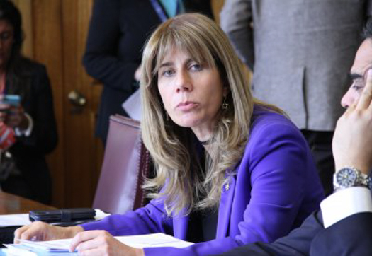 Casos Ámbar y Sophie: Piden dar urgencia a proyectos sobre imprescriptibilidad de delitos sexuales contra menores y modificaciones a procedimientos de acogida
