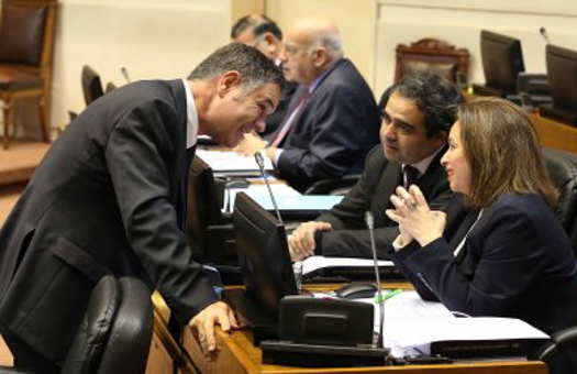 Prohibición del uso de la leña en la Región Metropolitana pasa a la Cámara de Diputados