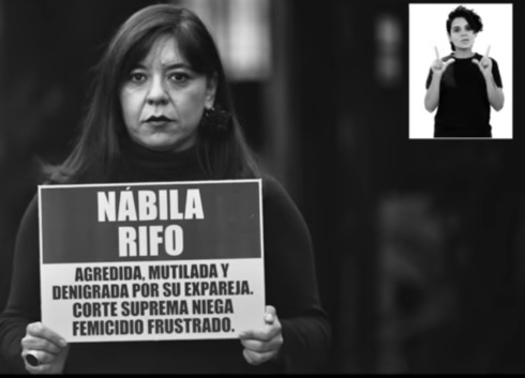 Red Chilena contra la Violencia hacia las Mujeres hará entrega del Manifiesto/Ley Invisible en el Congreso Nacional