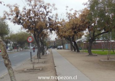 Entra en vigencia la ley de reducción de velocidad de 60 a 50 kilómetros por hora