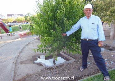 Con gran esmero, vecino cuida plaza pública en Pudahuel