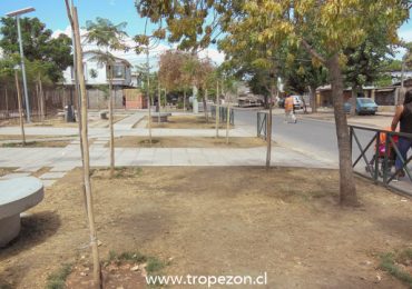Pasto de plaza se seca por falta de riego en Pudahuel