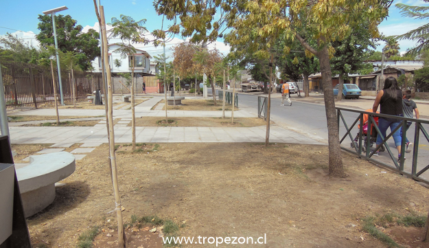 Pasto de plaza se seca por falta de riego en Pudahuel