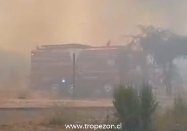 Bomberos y Conaf logran controlar incendio forestal que amenazó condominio habitacional en Pudahuel Rural