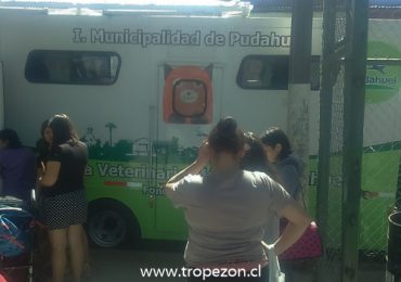 Entra en funcionamiento la Clínica Veterinaria Móvil Municipal en Pudahuel