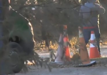 Perros se peleaban un cráneo humano en Pudahuel rural