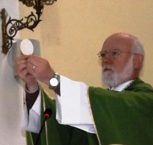 El Papa nombra a obispo Celestino Aós como administrador apostólico sede vacante de Santiago