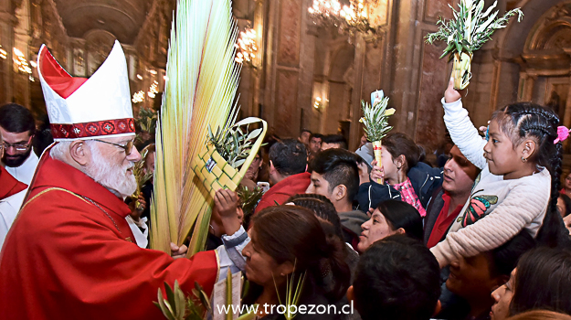 Cientos de fieles Celebraron Domingo de Ramos con la misa y peregrinación